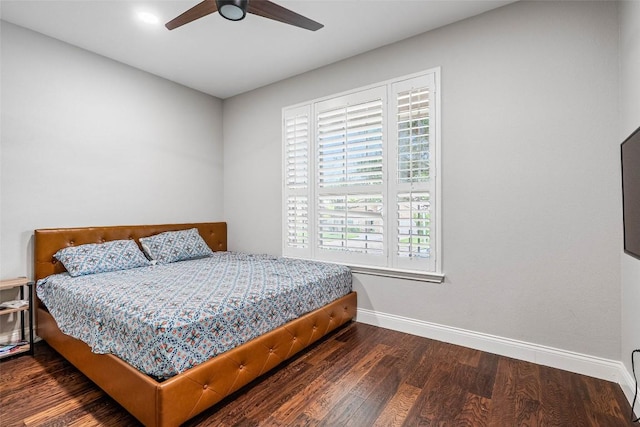 2817 Barefoot Ln, Round Rock, TX 78665 - bedroom with multiple windows, wood finished floors, and a ceiling fan