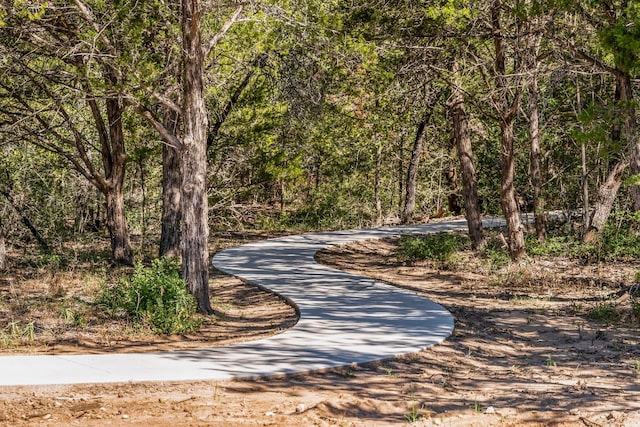 158 Loysoya St, Bastrop, TX 78602 - view of property's community featuring a wooded view