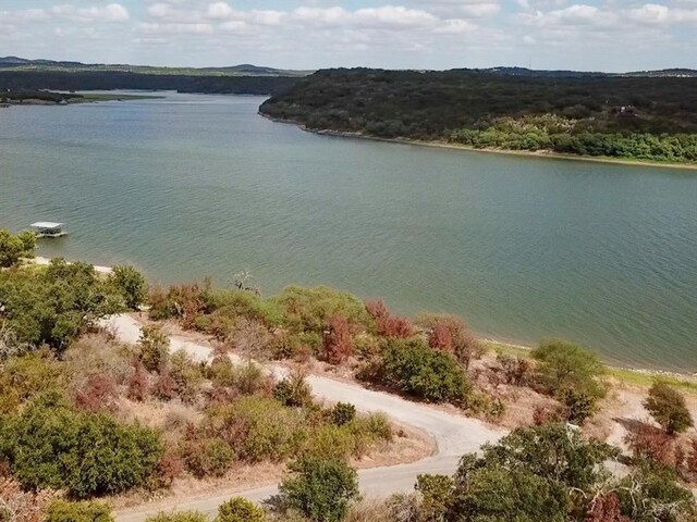 118 Midnight Sun Dr, Spicewood, TX 78669 - photo 18