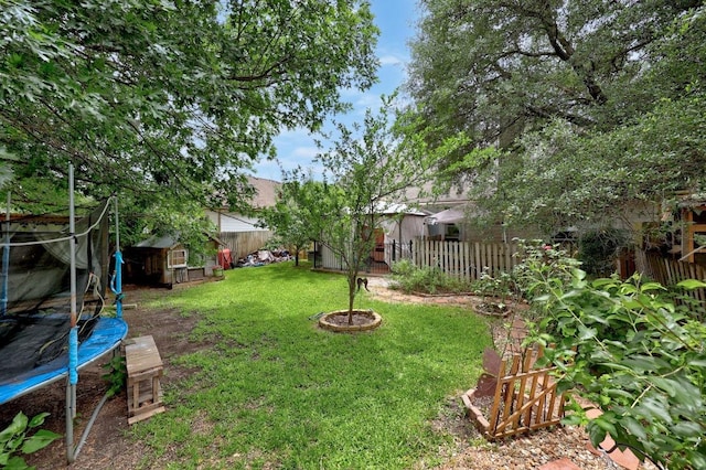 1306 River Oak Dr, Leander, TX 78641 - fenced backyard with a trampoline and a storage unit