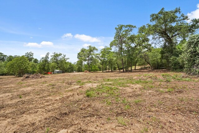 TBD Linda Ln, Bastrop, TX 78602 - photo 8