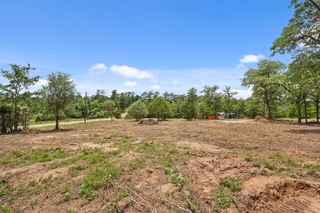TBD Linda Ln, Bastrop, TX 78602 - photo 9