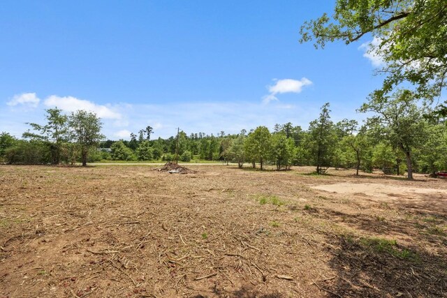 TBD Linda Ln, Bastrop, TX 78602 - photo 10