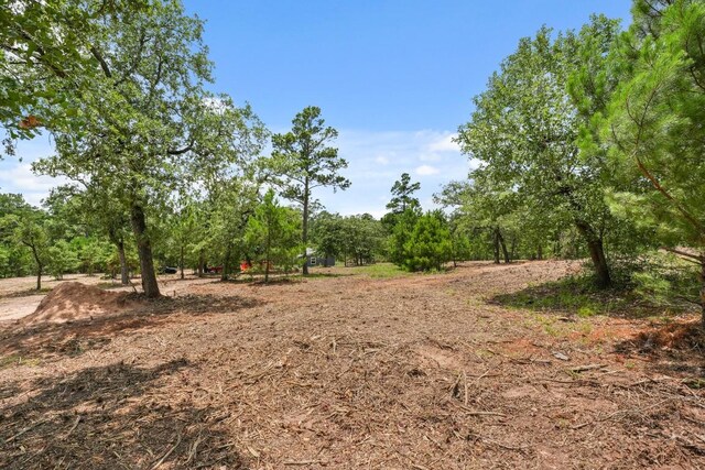 TBD Linda Ln, Bastrop, TX 78602 - photo 11