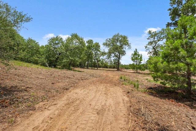 TBD Linda Ln, Bastrop, TX 78602 - photo 12