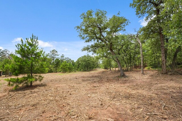 TBD Linda Ln, Bastrop, TX 78602 - photo 13