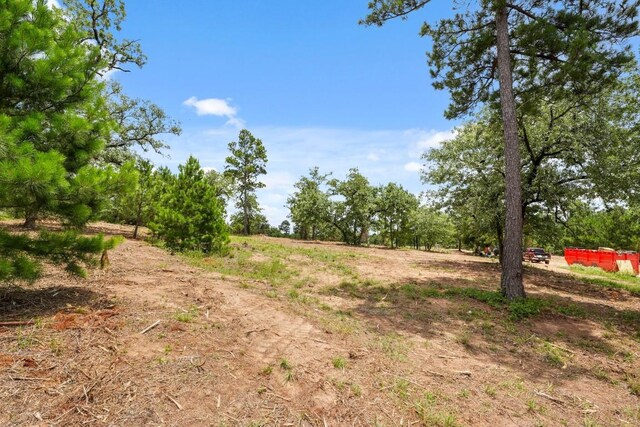 TBD Linda Ln, Bastrop, TX 78602 - photo 14
