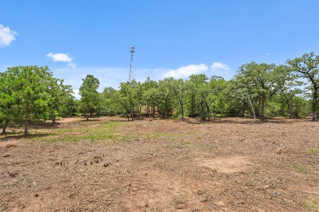 TBD Linda Ln, Bastrop, TX 78602 - photo 15