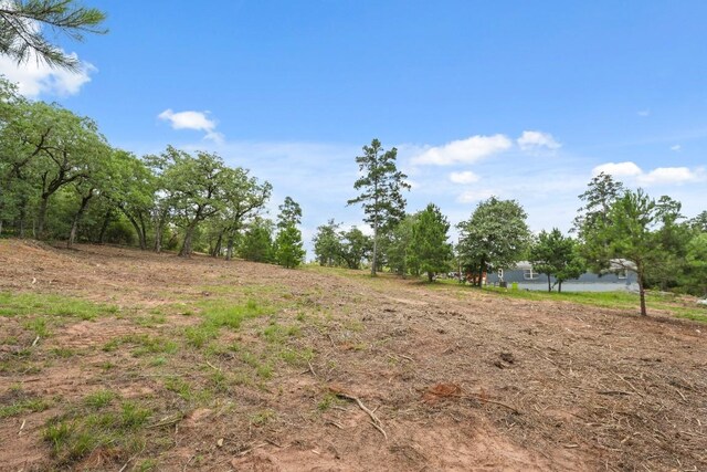 TBD Linda Ln, Bastrop, TX 78602 - photo 16