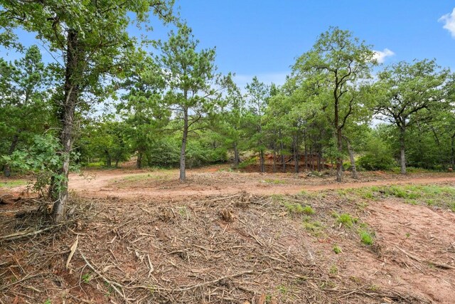 TBD Linda Ln, Bastrop, TX 78602 - photo 17