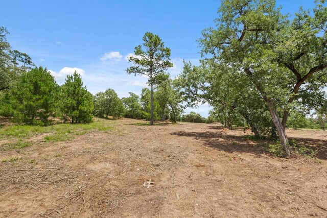 TBD Linda Ln, Bastrop, TX 78602 - photo 18