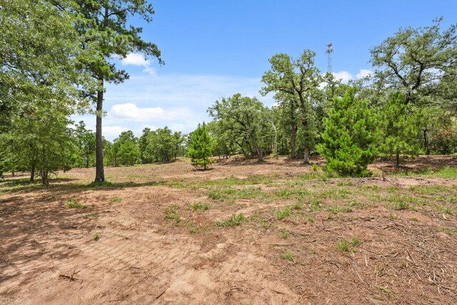 TBD Linda Ln, Bastrop, TX 78602 - photo 19