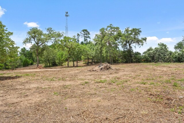 TBD Linda Ln, Bastrop, TX 78602 - photo 21