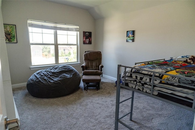 2616 Pine Branch Rd, Leander, TX 78641 - carpeted bedroom with baseboards and vaulted ceiling