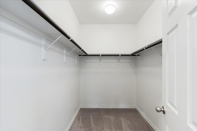 1629 W Broade St, Leander, TX 78641 - walk in closet featuring carpet