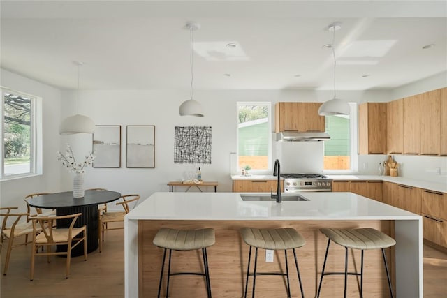 7516 Northcrest Blvd Unit 1, Austin, TX 78752 - kitchen featuring under cabinet range hood, modern cabinets, and light wood-style flooring
