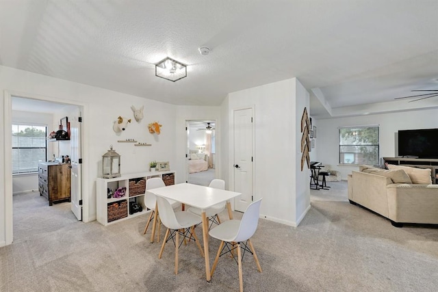 104 Hazeltine Dr, Georgetown, TX 78628 - dining space featuring ceiling fan, light carpet, and plenty of natural light