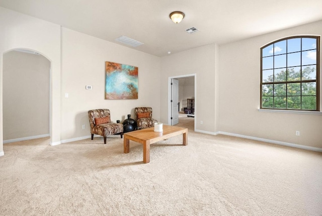106 Tonkawa Trl W, Austin, TX 78738 - living area featuring arched walkways and carpet