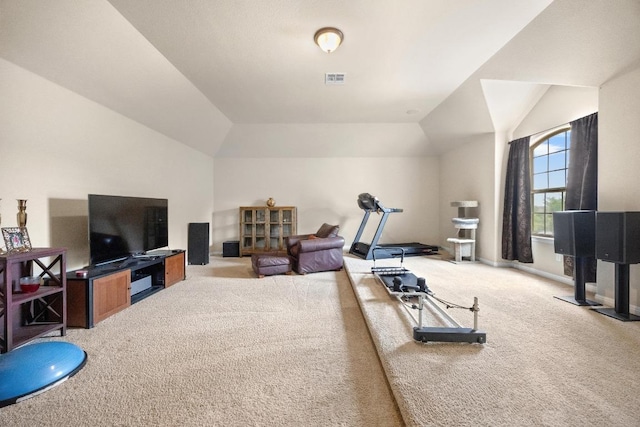 106 Tonkawa Trl W, Austin, TX 78738 - workout area with carpet floors and vaulted ceiling
