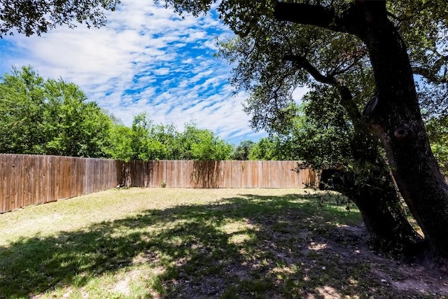 1710 Atlantica St, Cedar Park, TX 78613 - view of fenced backyard