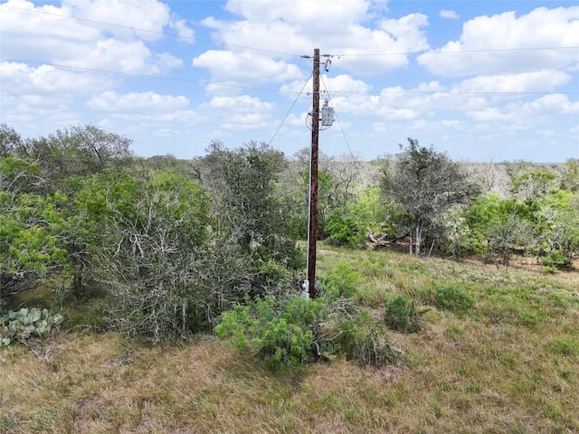 LOT8 Fm 2814, Waelder, TX 78959