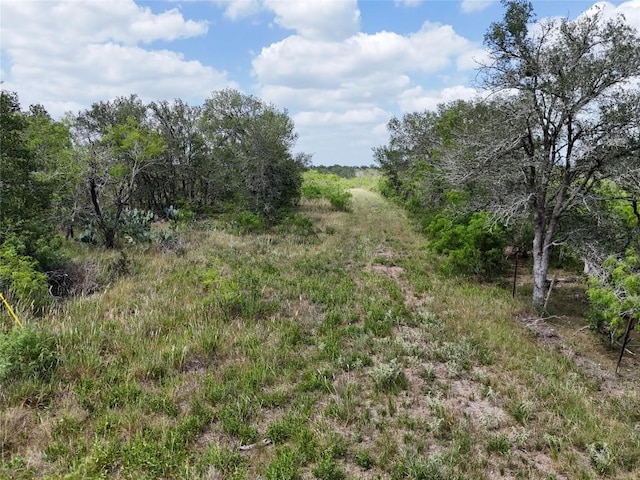 LOT8 Fm 2814, Waelder, TX 78959