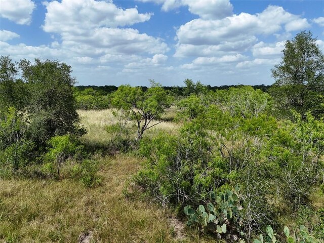 LOT8 Fm 2814, Waelder, TX 78959