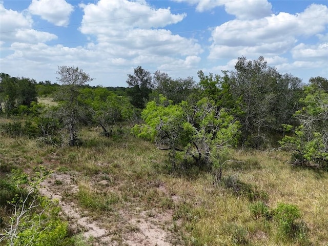 LOT8 Fm 2814, Waelder, TX 78959