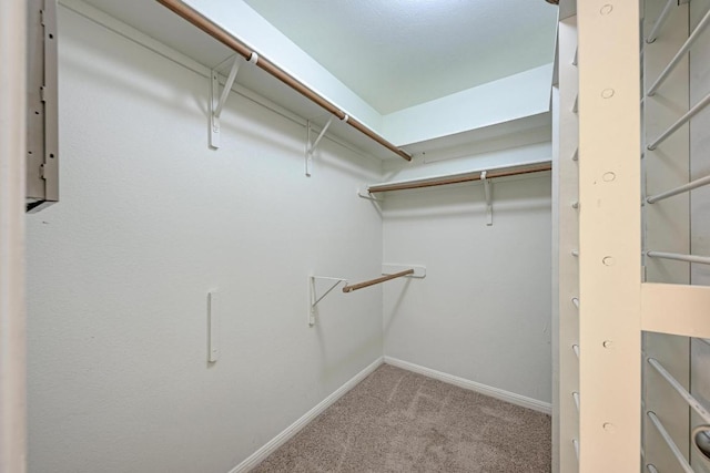 216 Cassandra Dr, Hutto, TX 78634 - walk in closet featuring carpet flooring