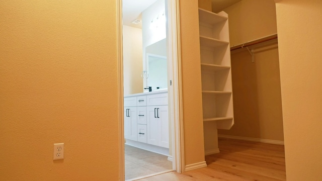 1024 Chad Loop, Round Rock, TX 78665 - walk in closet with light wood-style flooring