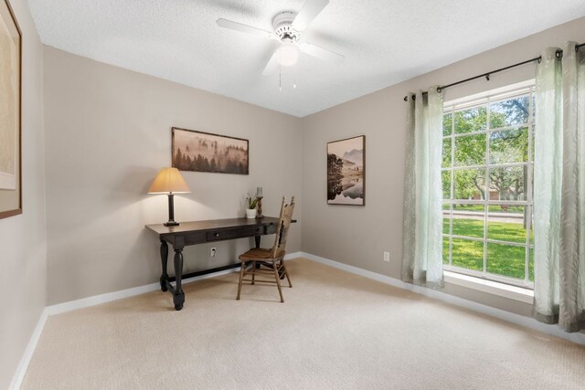 803 Lone Star Dr, Cedar Park, TX 78613 - office featuring light colored carpet, ceiling fan, and a textured ceiling
