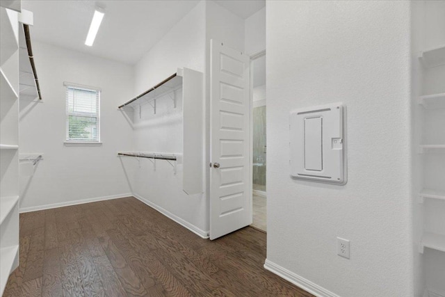 271 Eclipse Dr, Austin, TX 78737 - walk in closet with wood finished floors and electric panel
