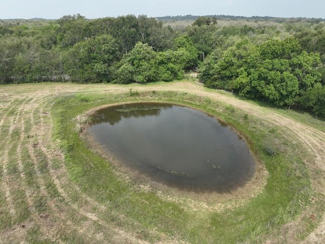 TBD(6.44Acres) Lee County Road, Paige, TX 78659 - photo 6