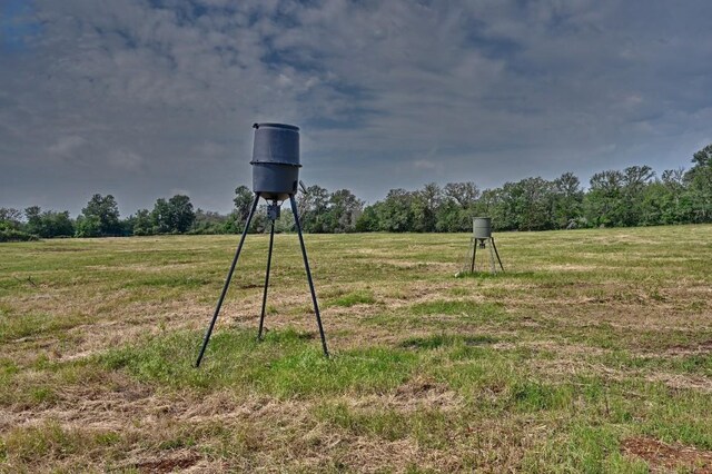 TBD(6.44Acres) Lee County Road, Paige, TX 78659 - photo 8