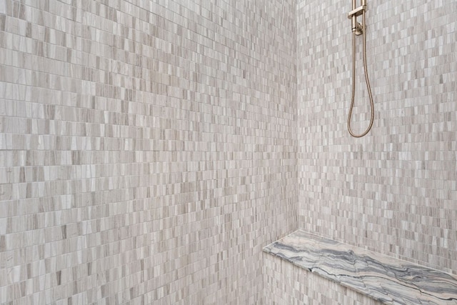 2701 Greenlee Dr, Austin, TX 78703 - bathroom view of tiled shower