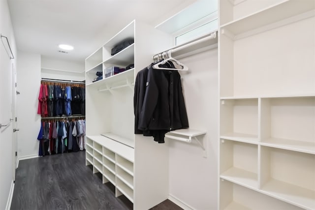 11611 Quarter Horse Trl, Austin, TX 78750 - spacious closet with dark wood-style flooring