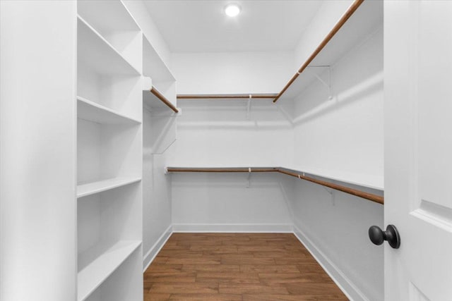 4121 Turning Leaf Dr, Nolanville, TX 76559 - spacious closet featuring dark wood-style floors