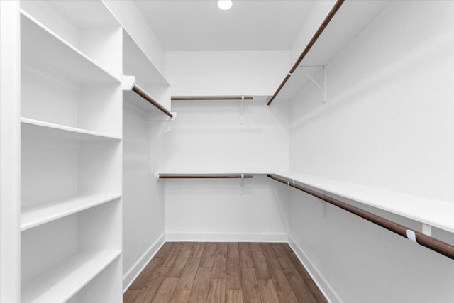 4113 Turning Leaf Dr, Nolanville, TX 76559 - spacious closet with dark wood finished floors