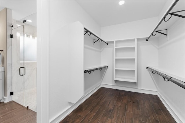 7026 Troyan, Temple, TX 76502 - walk in closet with dark wood finished floors