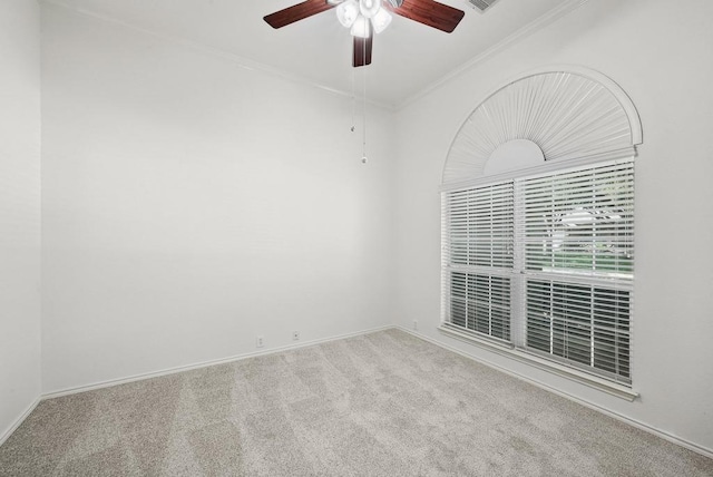 1521 Foppiano Loop, Round Rock, TX 78665 - photo 24