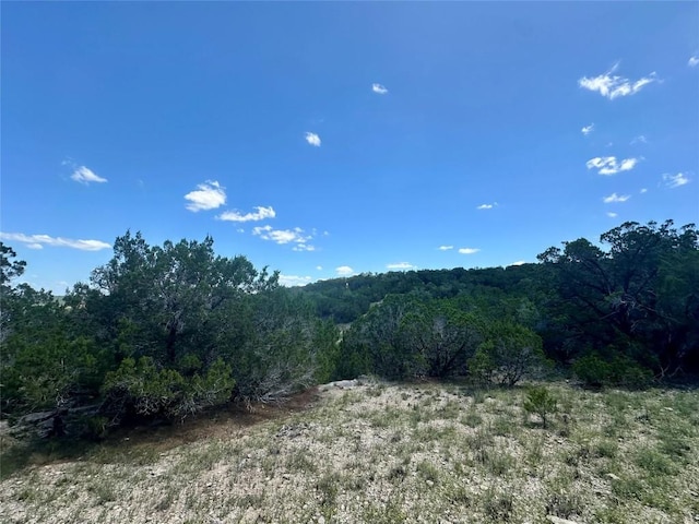 105 N Angel Light Dr, Spicewood, TX 78669 - photo 17