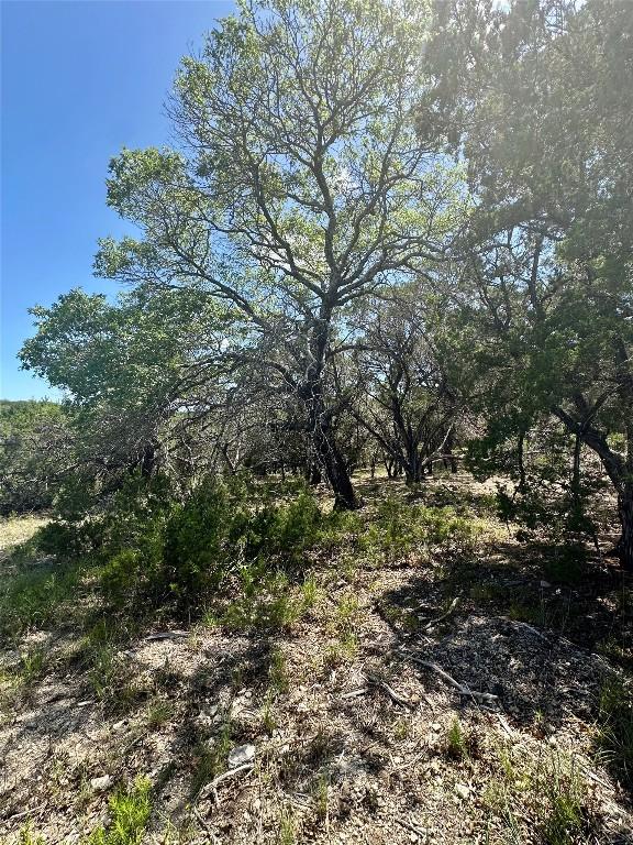 105 N Angel Light Dr, Spicewood, TX 78669 - photo 18
