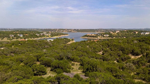 105 N Angel Light Dr, Spicewood, TX 78669 - photo 4