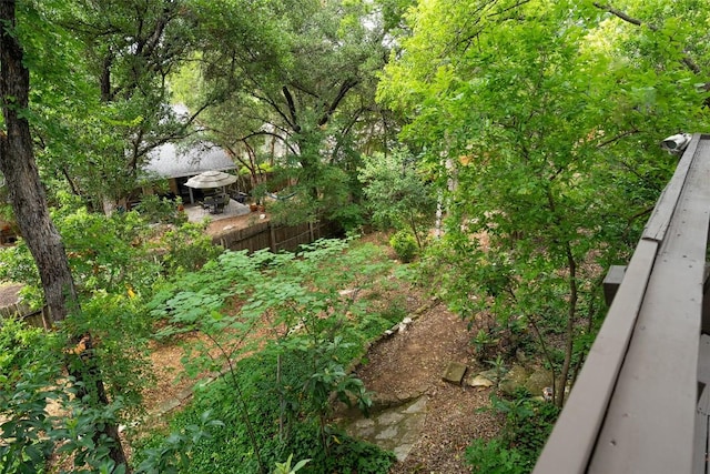 4604 Fawnwood Cv, Austin, TX 78735 - view of yard