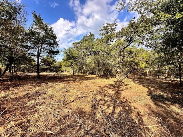 215 Pebblestone Rd, Dale, TX 78616 - view of local wilderness