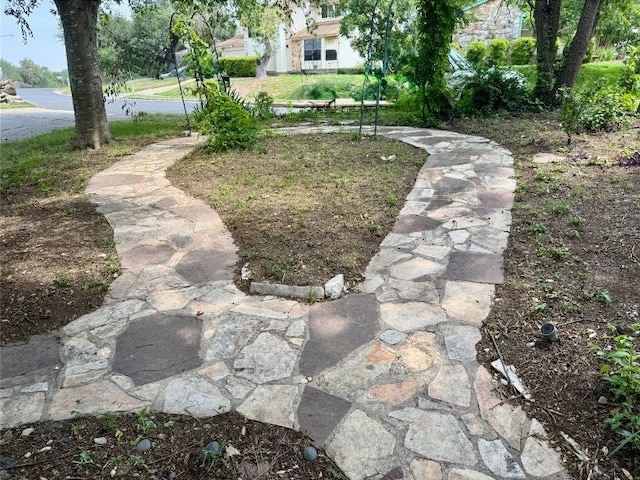 8306 Hanbridge Ln, Austin, TX 78736 - view of yard