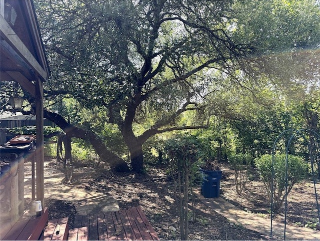 8306 Hanbridge Ln, Austin, TX 78736 - view of yard