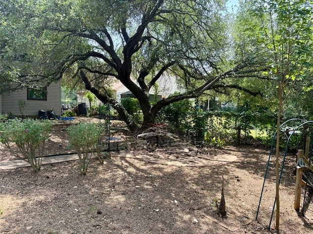 8306 Hanbridge Ln, Austin, TX 78736 - view of yard