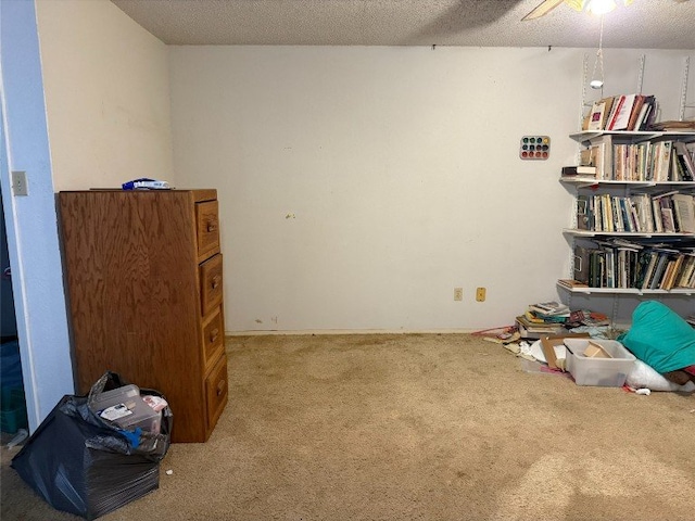 8306 Hanbridge Ln, Austin, TX 78736 - misc room featuring carpet, a ceiling fan, and a textured ceiling