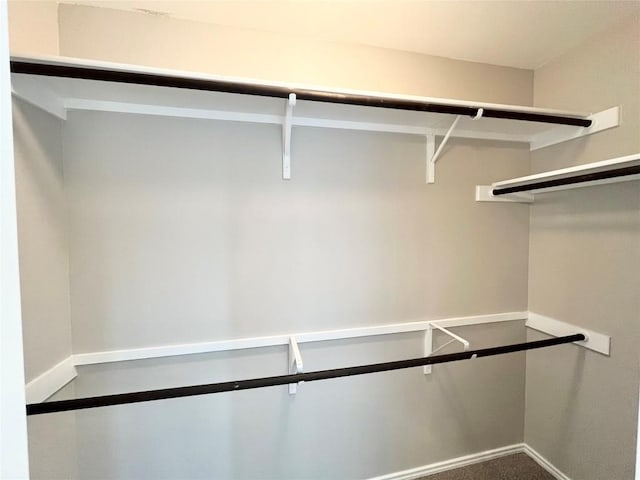 139 Diamondback Cv, Buda, TX 78610 - spacious closet with carpet floors